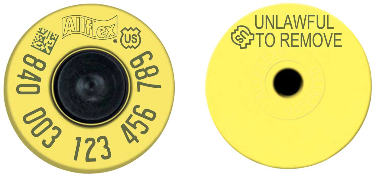 840 Tag for Hogs and Steers - Image 1